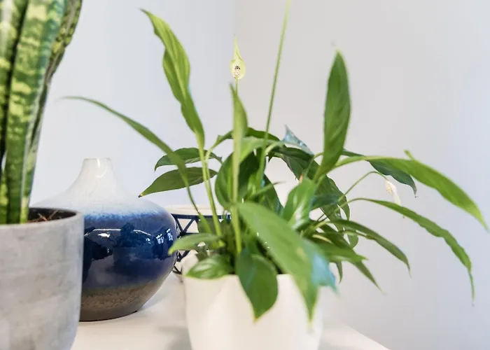 公寓 Guestready - Timber-framed Luxe 波尔图